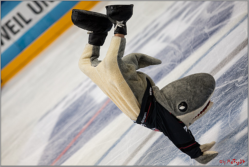 Koelner Haie - EHC Red Bull Muenchen , 16.09.16(KW37)